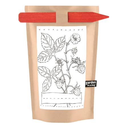 Kids Garden in a Bag | Strawberry | Learning Activity