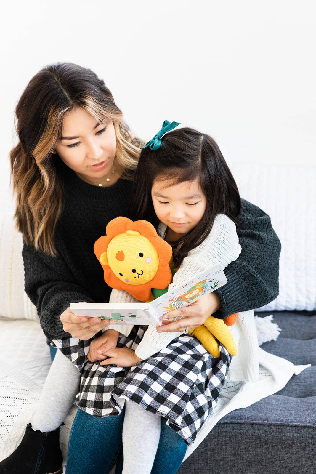 Lion Stuffed Animal Toy and Board Book Gift Set