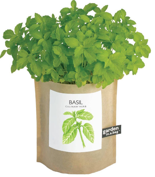 Garden in a Bag | Basil  | Gift idea for Cooks | Best Seller