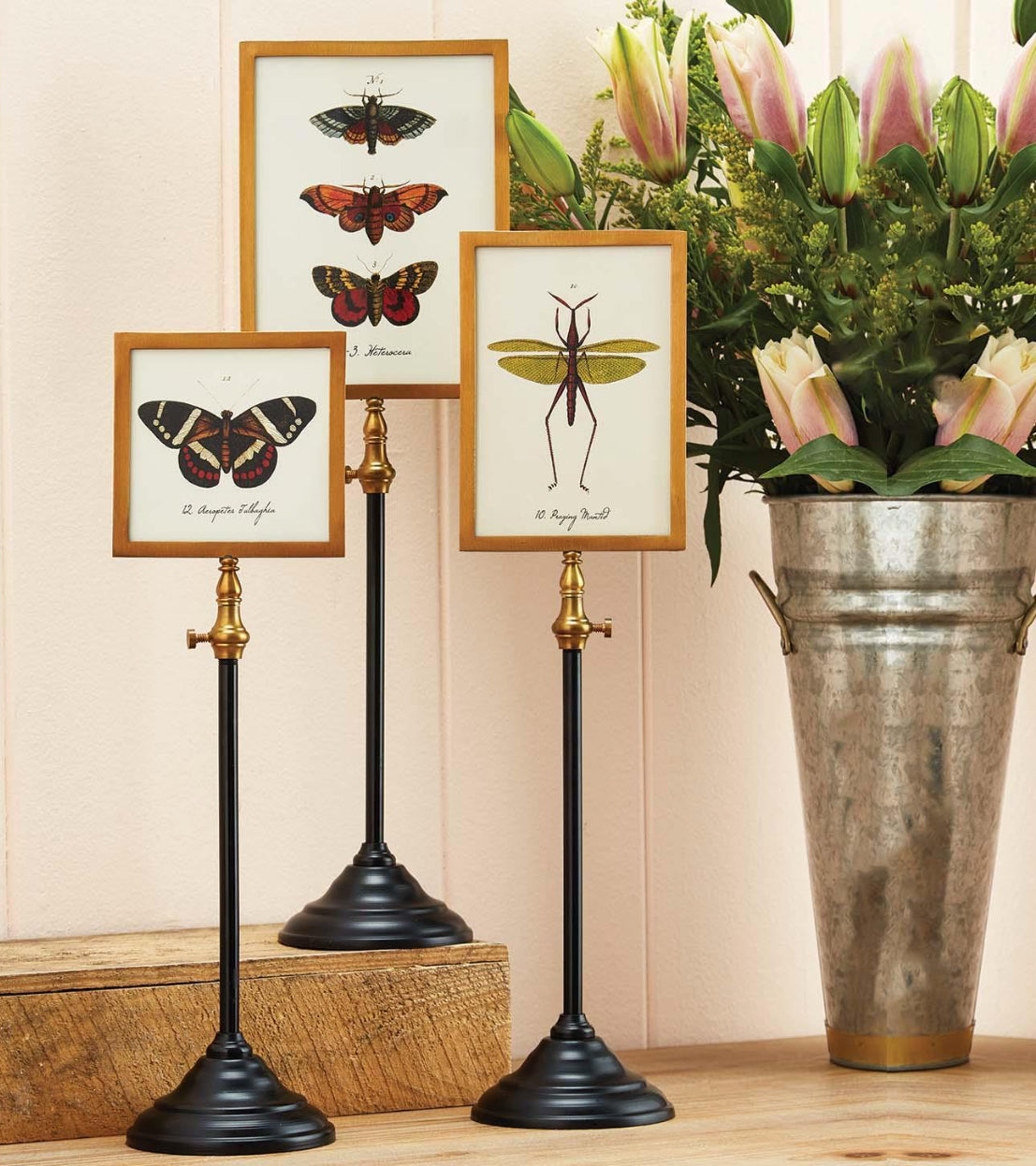 Two’s Company Telescoping Frames