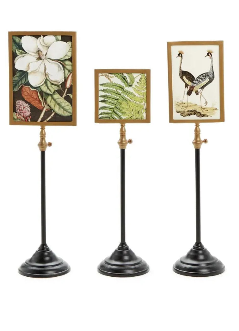 Two’s Company Telescoping Frames