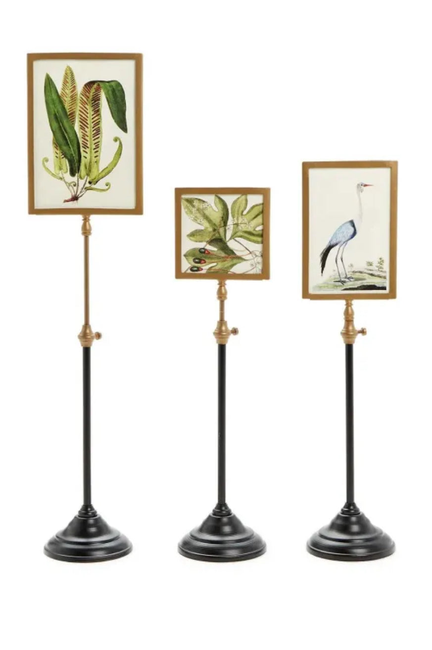 Two’s Company Telescoping Frames