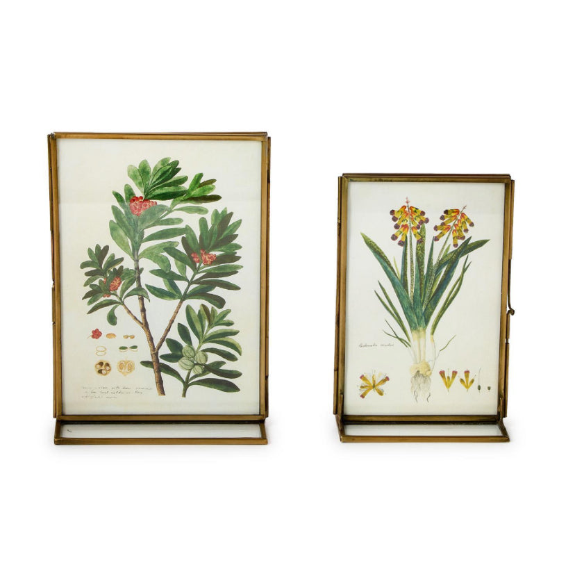 Double Sided Metal Frame