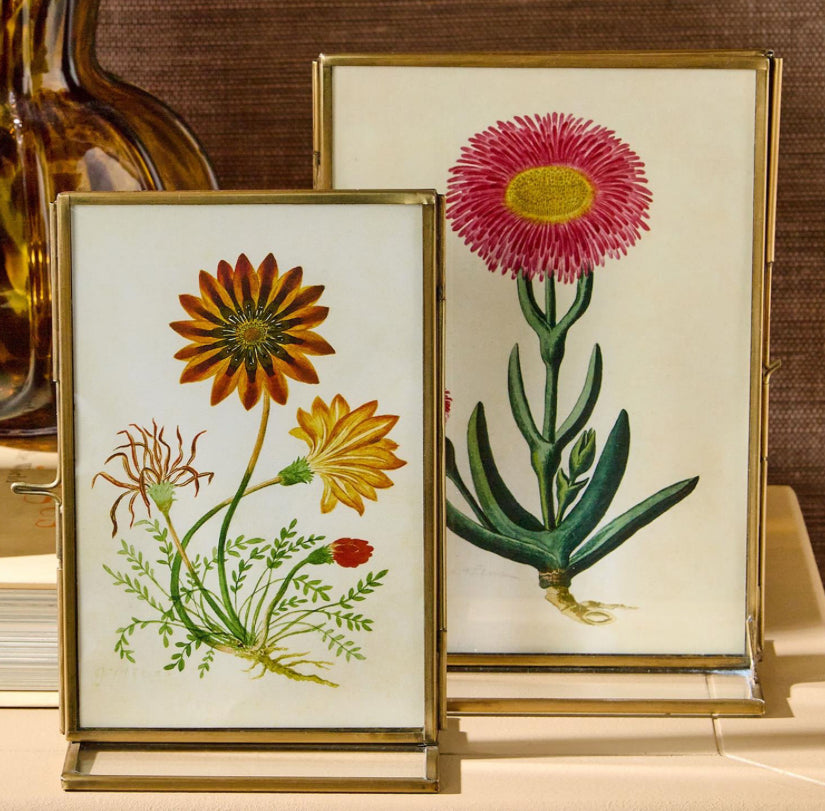 Double Sided Metal Frame