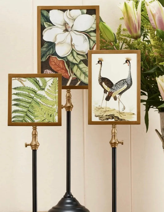 Two’s Company Telescoping Frames