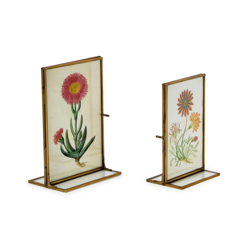 Double Sided Metal Frame