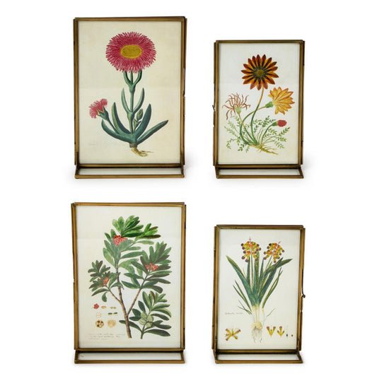 Double Sided Metal Frame