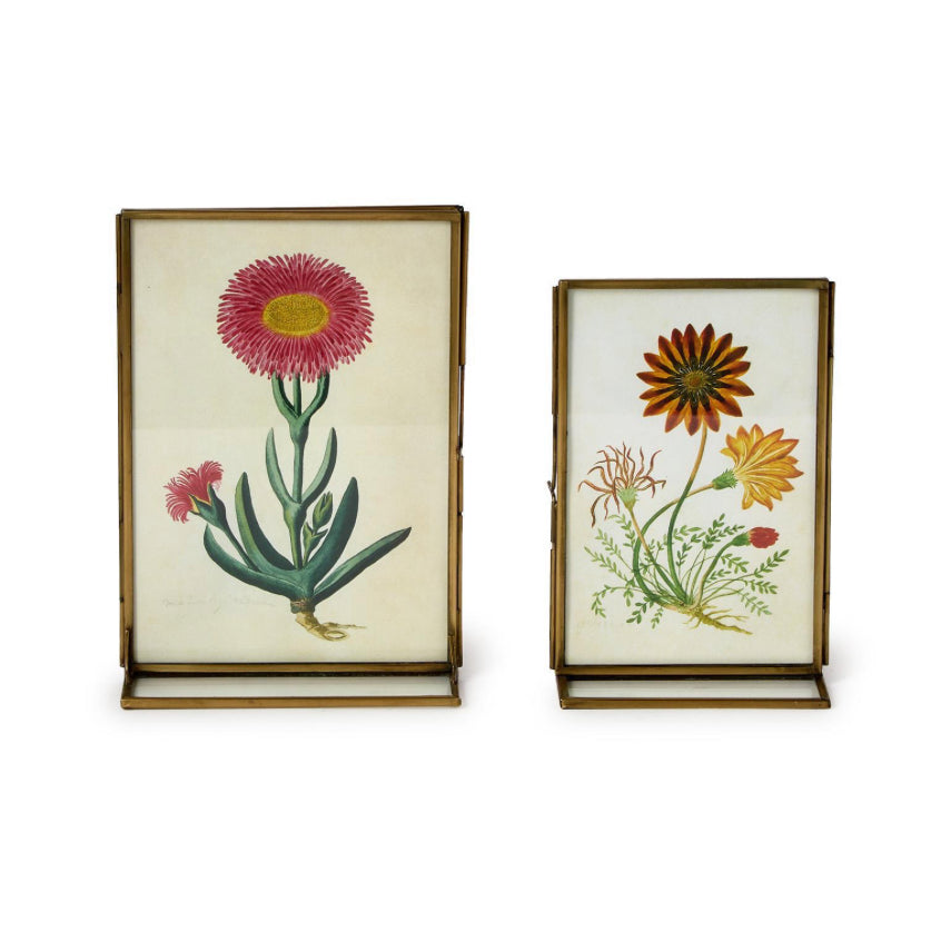 Double Sided Metal Frame