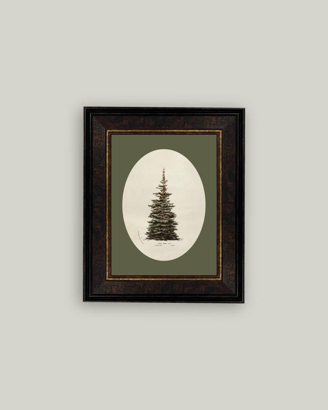 Oval Tree Framed Antique Art